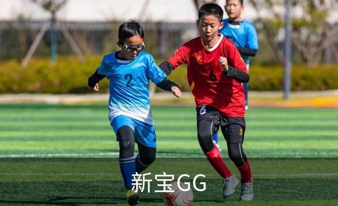 新宝GG概况