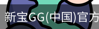 新宝GG